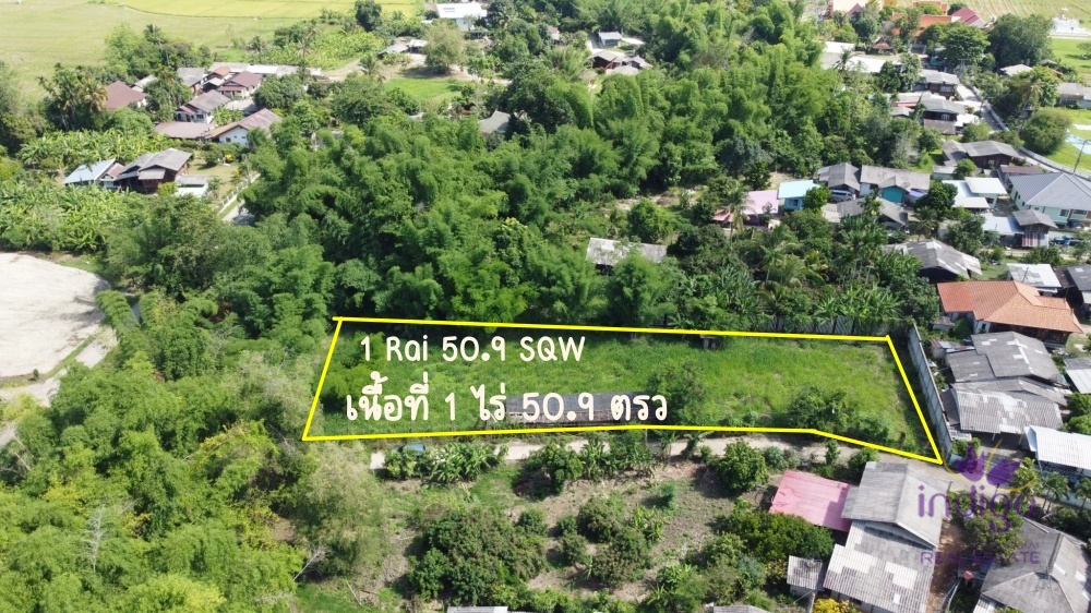 ขายที่ดิน - แม่ริม