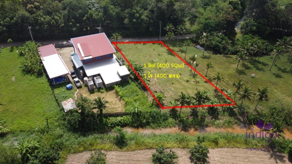 Land for Sale - San Sai