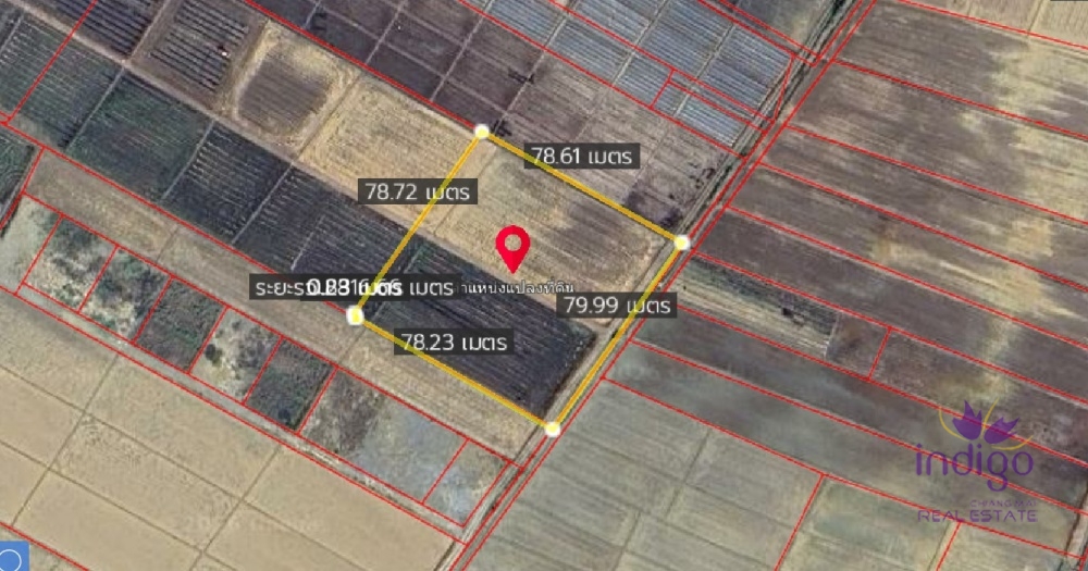 Land for Sale - Mae Taeng