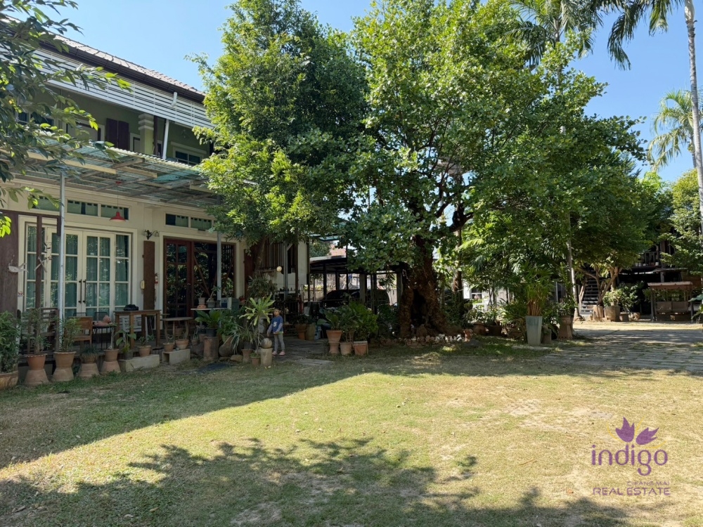 Houses for Sale - Mueang Chiang Mai