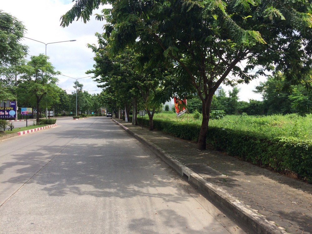 ขายที่ดิน - เมืองเชียงใหม่