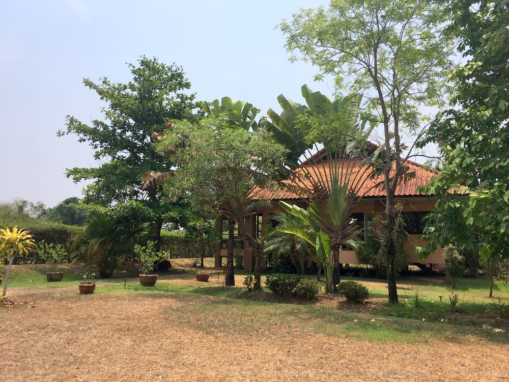 Houses for Rent - San Sai